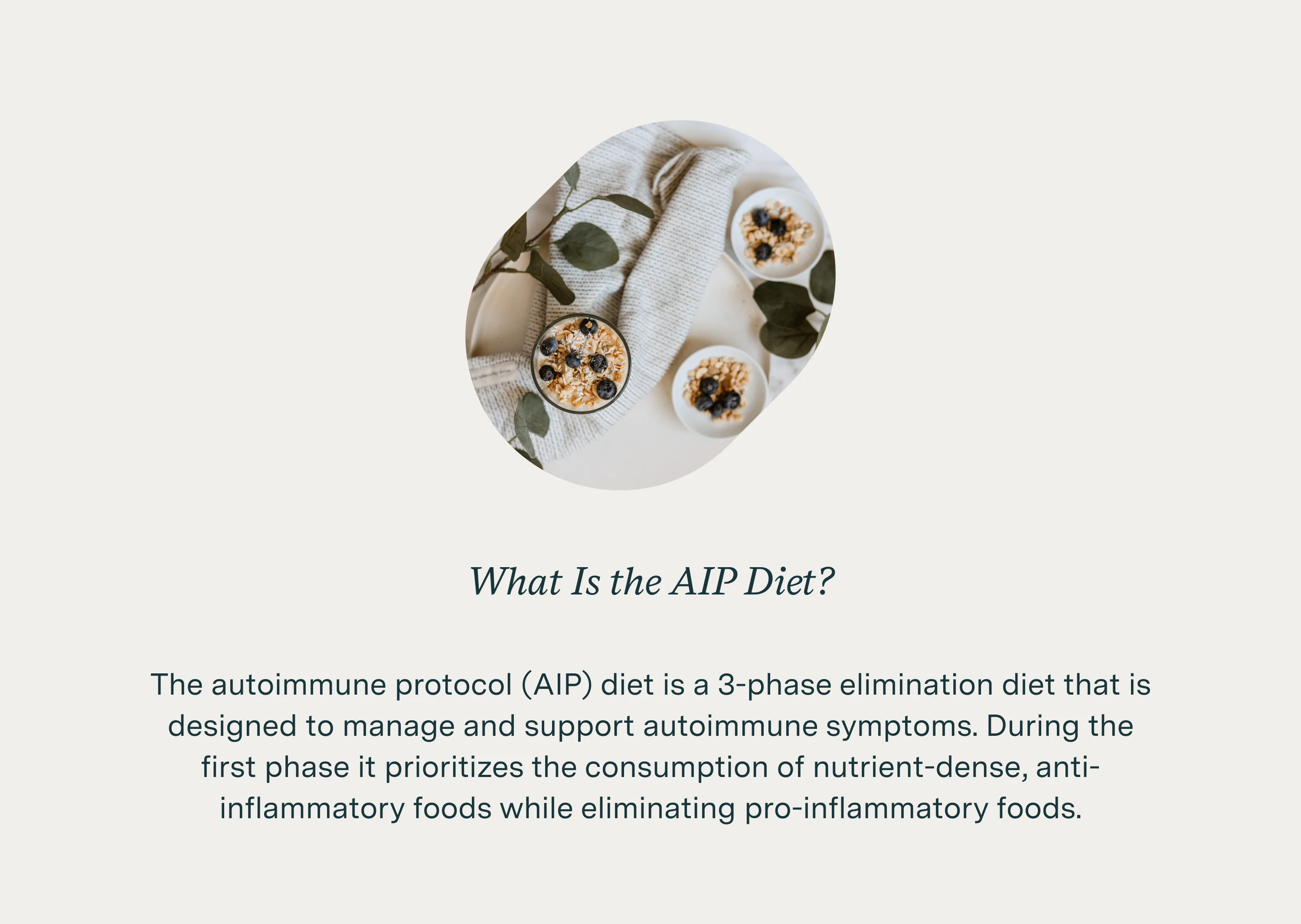 what is the AIP diet?